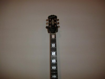 Black Beauty 003.jpg