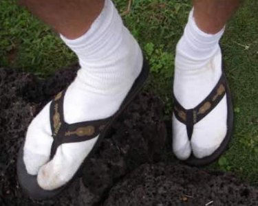 socks-and-flip-flops.jpg