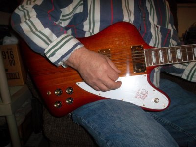 Ed's New Bird 005.jpg Ed's New Bird 005.jpg