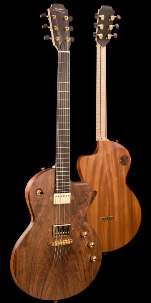 Lowden electric.jpg Lowden electric.jpg