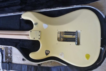 7 back closeup with picks.jpg