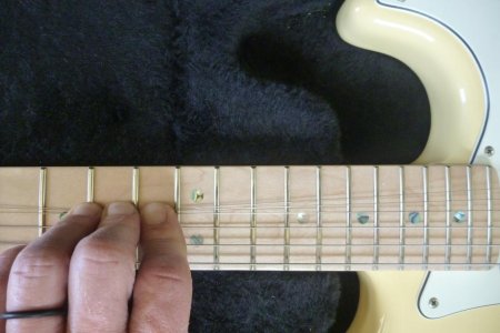 8 frets closeup.jpg