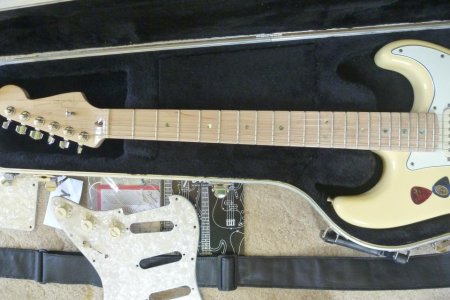 10 entire fretboard.jpg