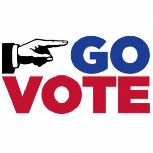 Go-Vote-500x500.jpg