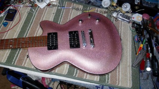 Daisy_Rock_Champagne_sm.jpg