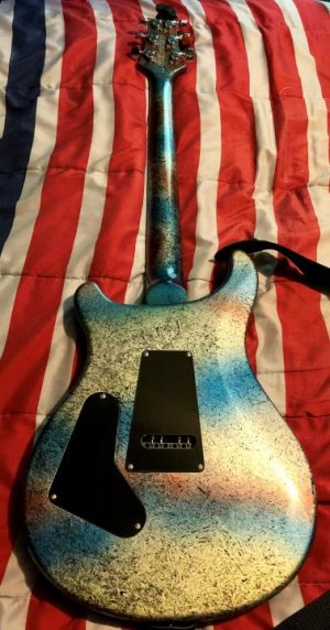 PRS SE Custom 24 Foil-2.jpg
