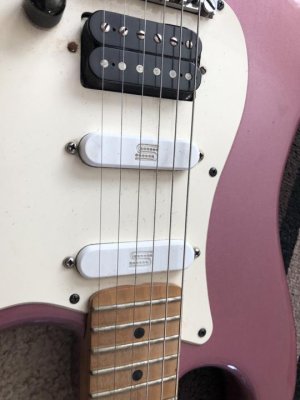 IMG_3567_100 pix.jpg