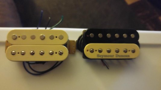 Aged White vs Cream Zebra JB.jpg
