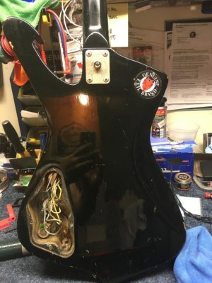 Blackyback.jpg