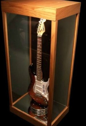 guitarCase1.jpg