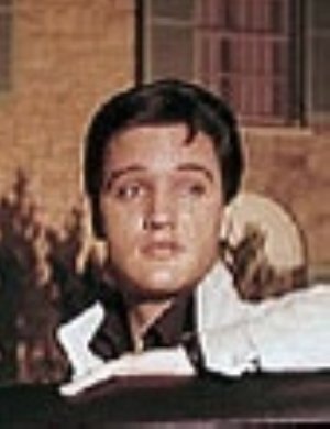 Elvis.jpg Elvis.jpg