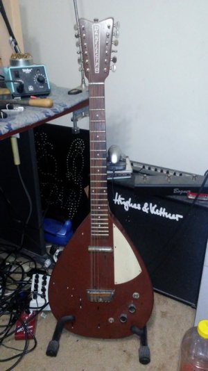 Dano_12-string_resize.jpg
