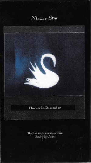 Mazzy VHS.jpg