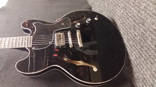 fortus  guitar image .jpg