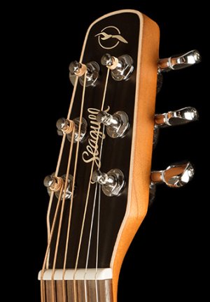 Seagull_headstock.jpg