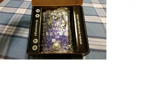 revv pedal in box 70%.jpg