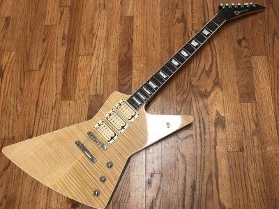 IMG_4582.jpg IMG_4582.jpg