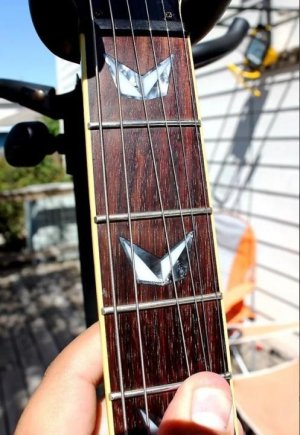 Open Beak Inlays.jpg