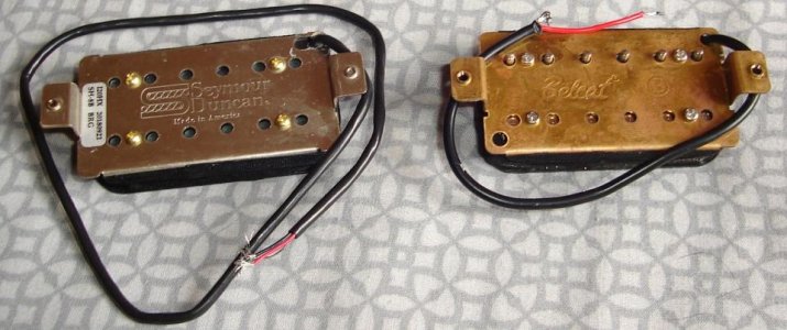 DSC00613Plate.jpg DSC00613Plate.jpg