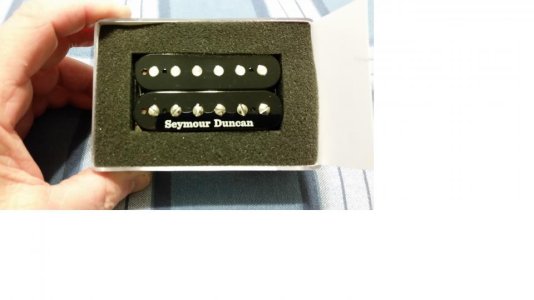 sd custom 5 in box no top 70%.jpg