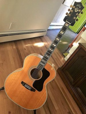 GTR 0 1989 GUILD F-50 BLD.jpg