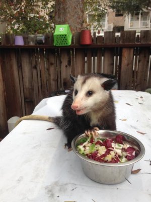 IMG_6798.jpg IMG_6798.jpg