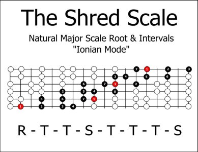 001_Shred.jpg
