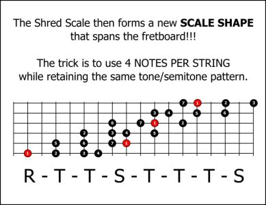 004_Shred.jpg