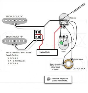 Dual Bridge pickup Select 3.jpg