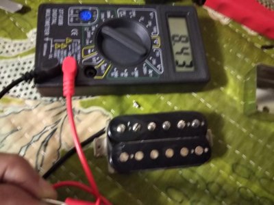 DSC_1003.jpg DSC_1003.jpg