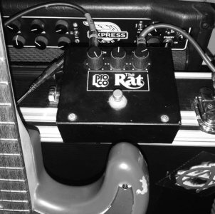 2D68F577-4FBD-4261-8306-73CCB58E928A.jpg 2D68F577-4FBD-4261-8306-73CCB58E928A.jpg