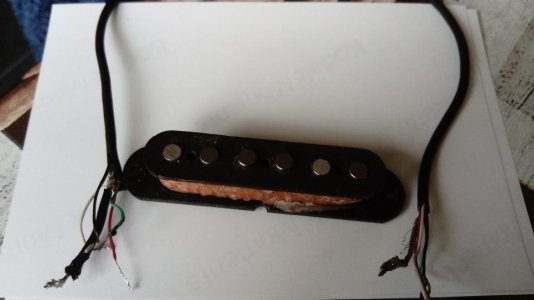 DSC_0075.jpg DSC_0075.jpg