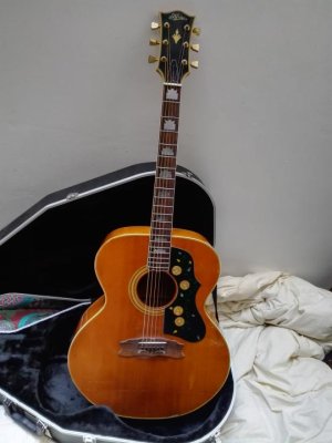 Aria AF-255 (whole).jpg