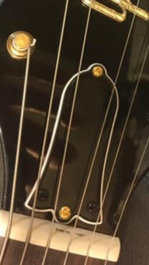 IMG_3317.jpg IMG_3317.jpg