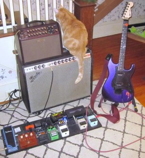 NGD_060319.jpg
