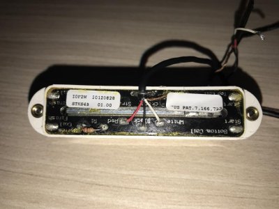 bottom.jpg bottom.jpg