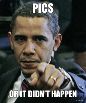 pics or it dit not happen.jpg pics or it dit not happen.jpg