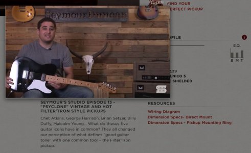 seymour duncan must have.JPG seymour duncan must have.JPG