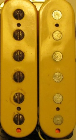 Tim Shaw Zoomed.jpg Tim Shaw Zoomed.jpg