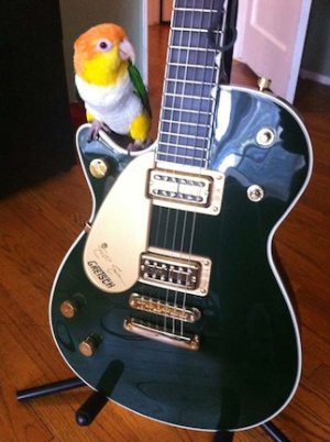 FruityAndGretsch.jpg