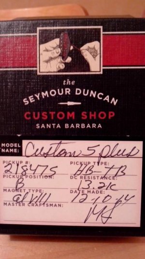 custom 5 plus cover.jpg