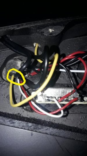 20190719_174648 (Large).jpg