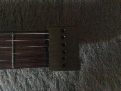 IMG_0495.jpg IMG_0495.jpg