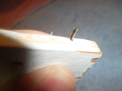 SAM_3558.jpg SAM_3558.jpg