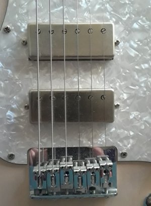 Fralin close up.jpg Fralin close up.jpg