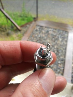 20190808_170237.jpg 20190808_170237.jpg