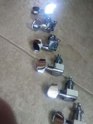 schaller m6- bottom.jpg schaller m6- bottom.jpg
