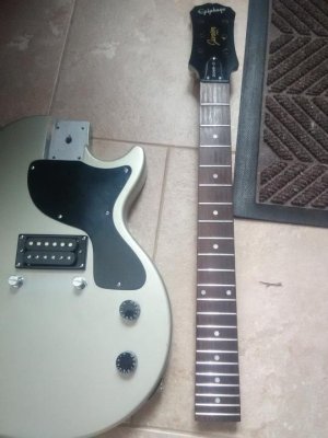body & neck.jpg