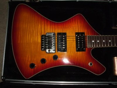 Washburn A30 Artist 1.jpg