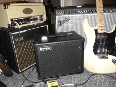 Boogie and friends.jpg